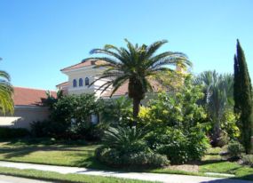 Landscaping Lakeland FL